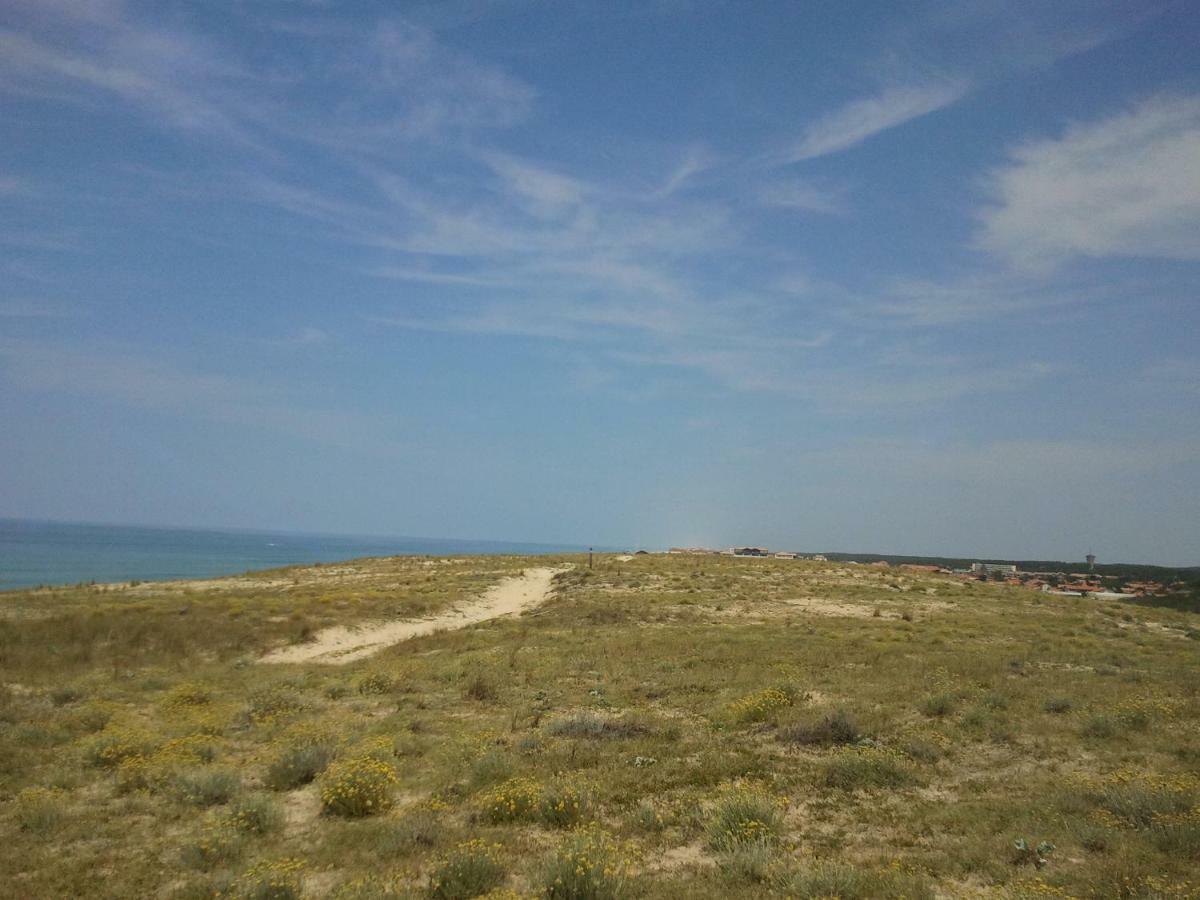 La Pinede Oceane,400M Des Plages Mimizan-Plage Exteriör bild