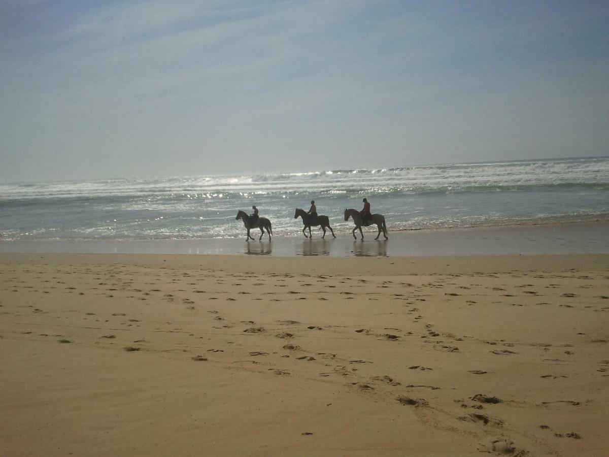 La Pinede Oceane,400M Des Plages Mimizan-Plage Exteriör bild