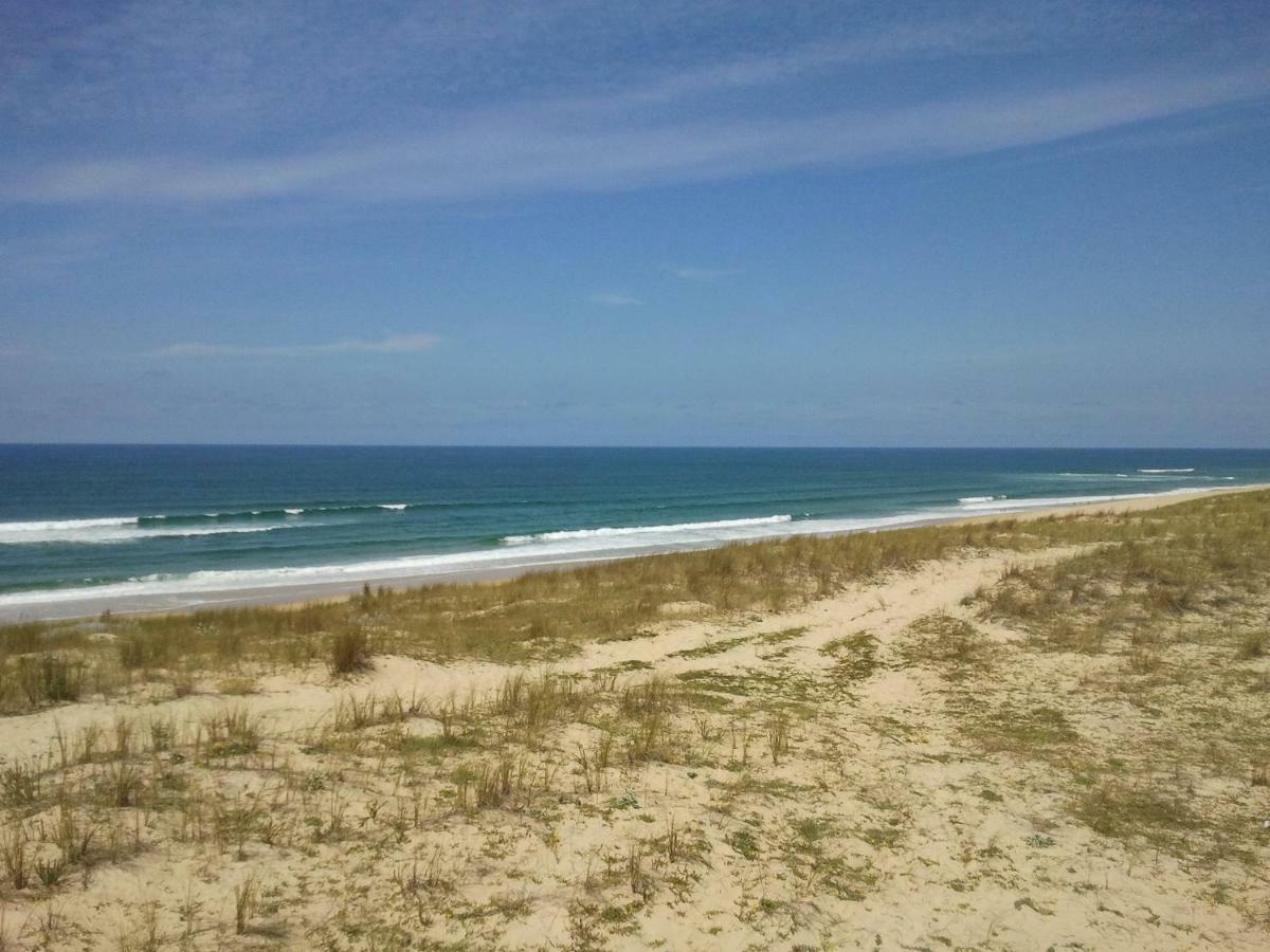 La Pinede Oceane,400M Des Plages Mimizan-Plage Exteriör bild